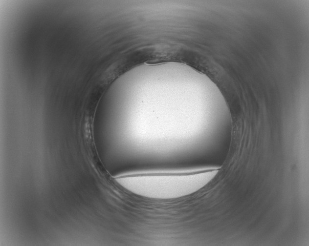 X0000071760137200606300925