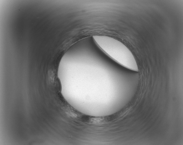 X0000071760139200606300925