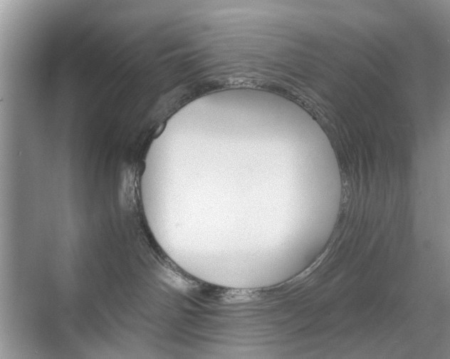 X0000071760142200606300925