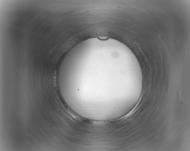 X0000071760144200606300925