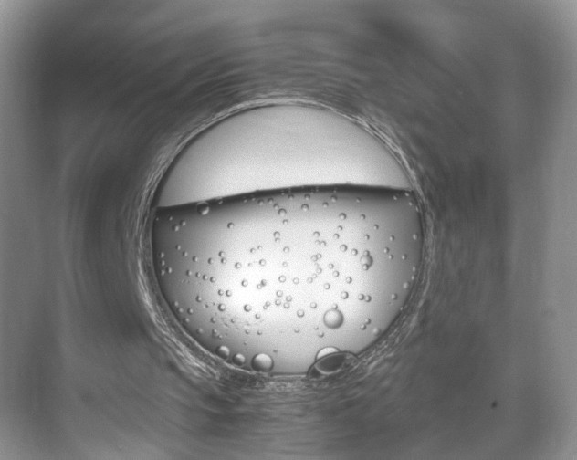 X0000071760145200606300925