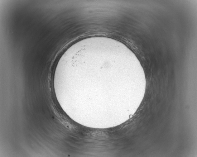 X0000071760146200606300925