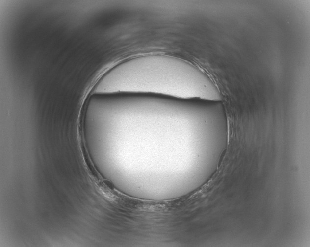 X0000071760147200606300925