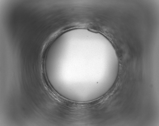 X0000071760149200606300925