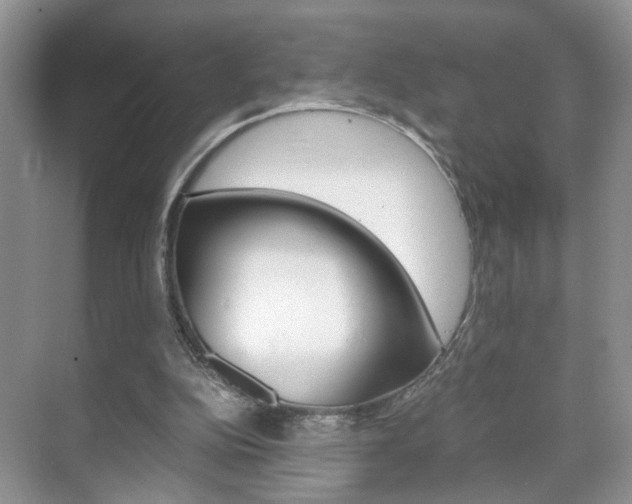 X0000071760152200606300925