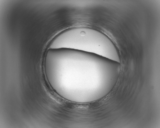 X0000071760155200606300925