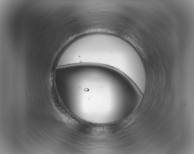 X0000071760160200606300925