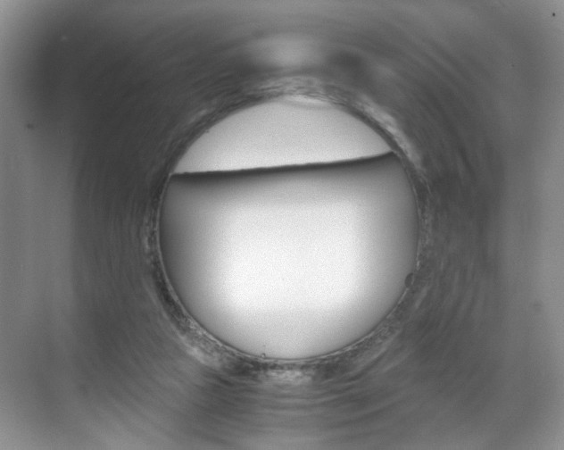 X0000071760161200606300925