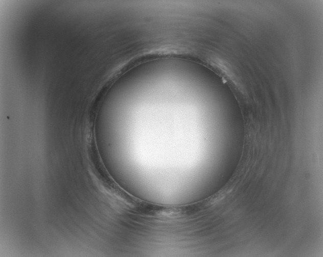 X0000071760164200606300925