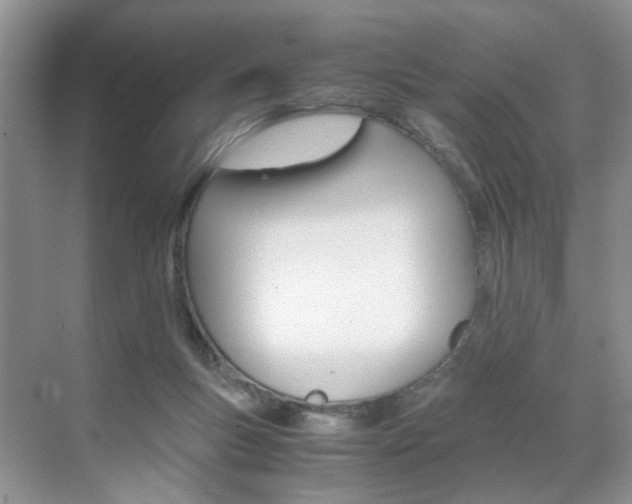 X0000071760167200606300925