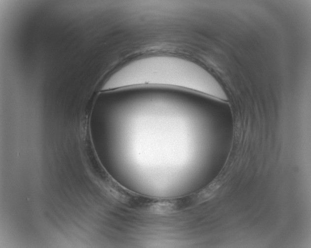 X0000071760168200606300925