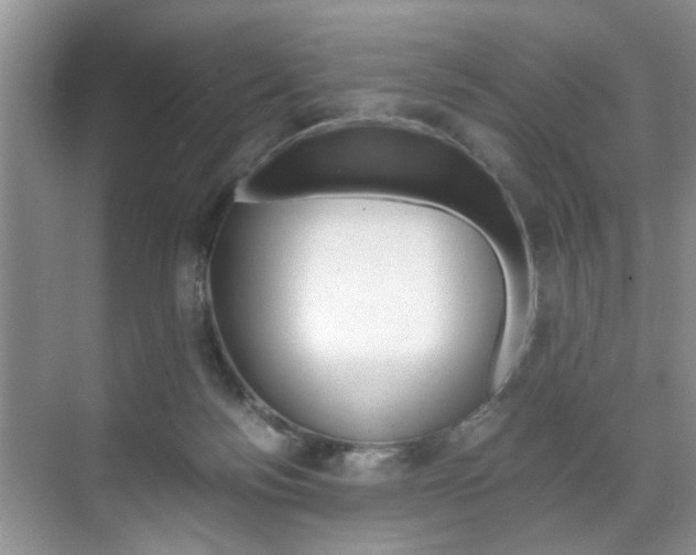 X0000071760172200606300925