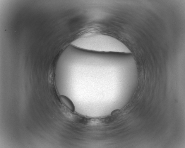 X0000071760177200606300925