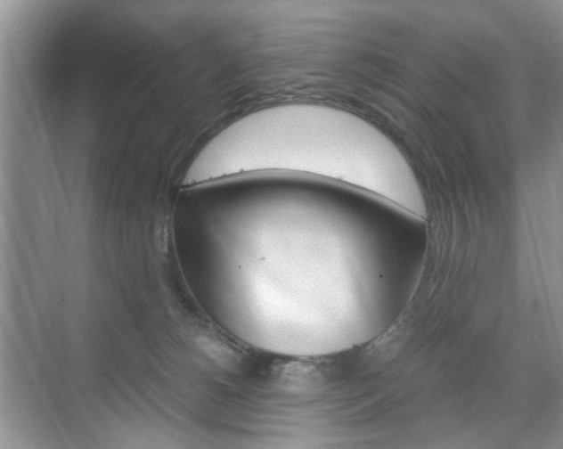 X0000071760180200606300925