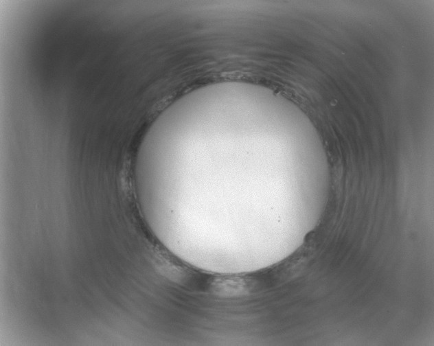 X0000071760181200606300925