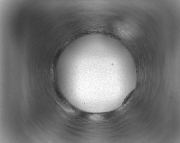 X0000071760183200606300925