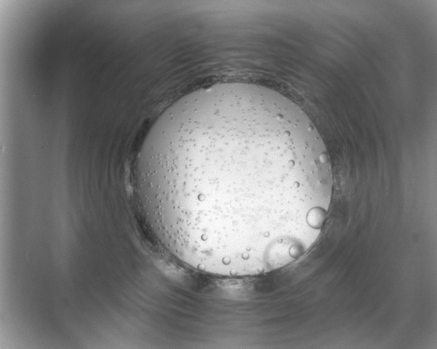 X0000071760187200606300925