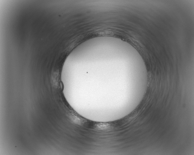 X0000071760189200606300925