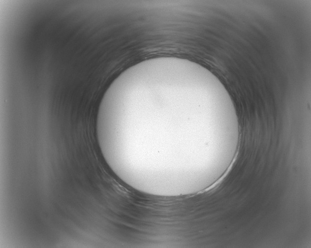 X0000071760190200606300925