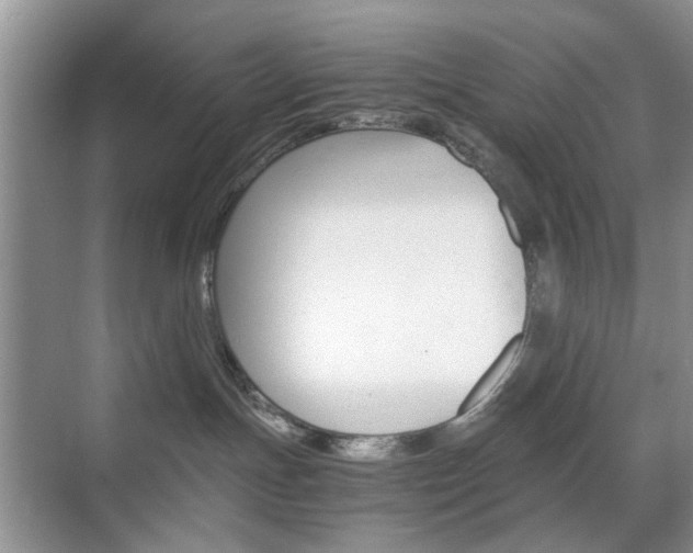 X0000071760191200606300925