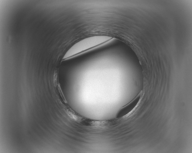 X0000071760192200606300925