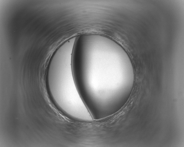 X0000071760193200606300925