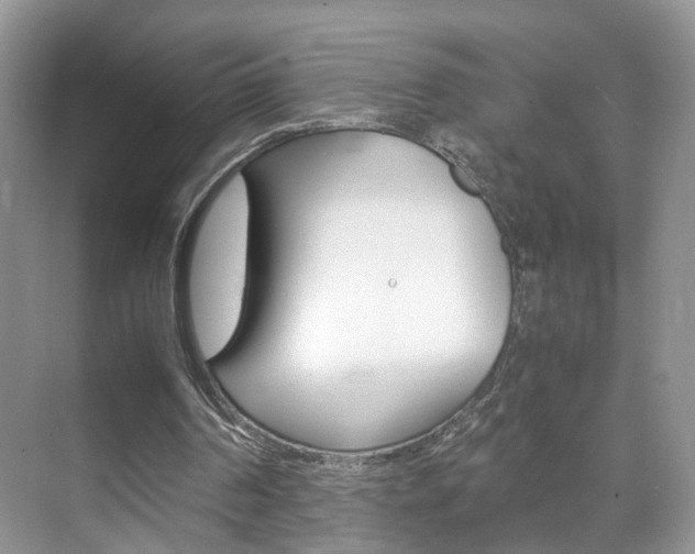 X0000071760194200606300925