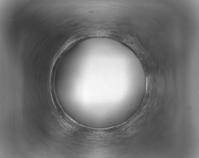 X0000071760195200606300924