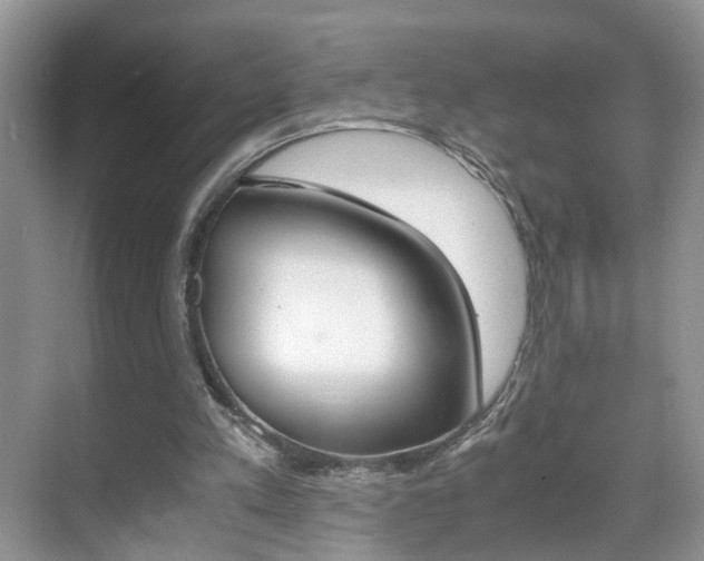 X0000071760197200606300924