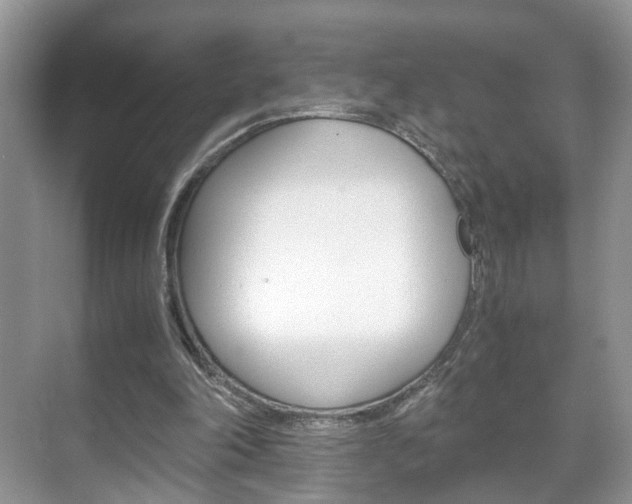 X0000071760198200606300924