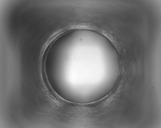 X0000071760199200606300924