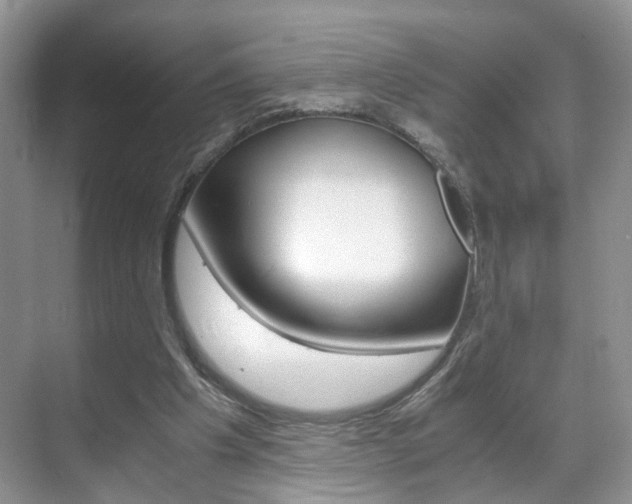 X0000071760201200606300924