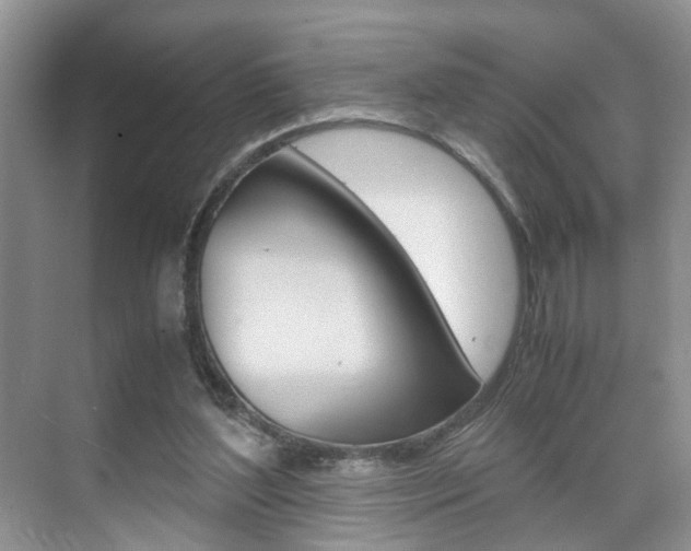 X0000071760204200606300924