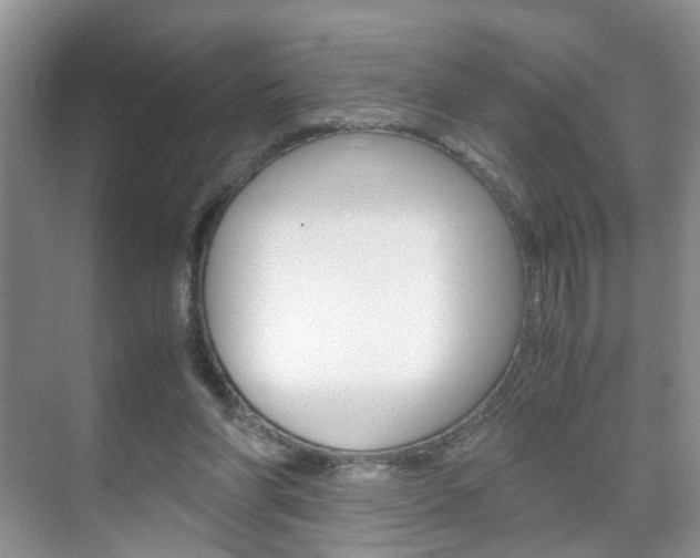 X0000071760206200606300924