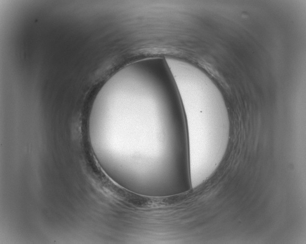 X0000071760207200606300924