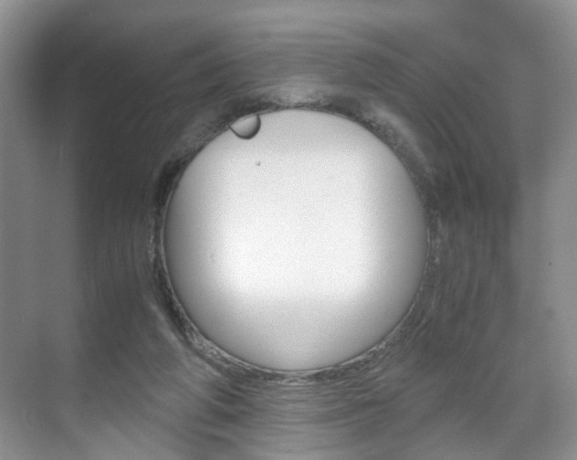 X0000071760210200606300924