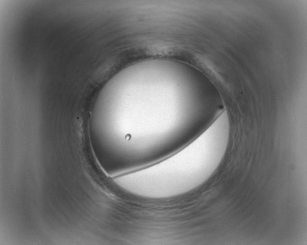 X0000071760211200606300924