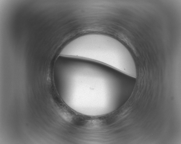 X0000071760212200606300924