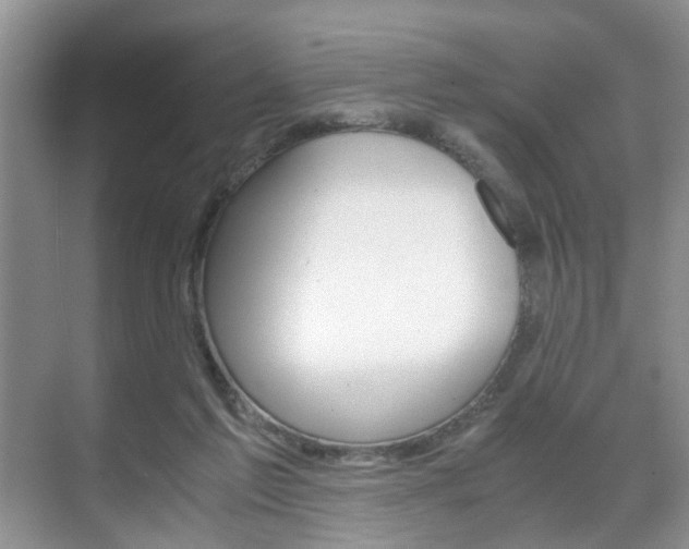 X0000071760213200606300924