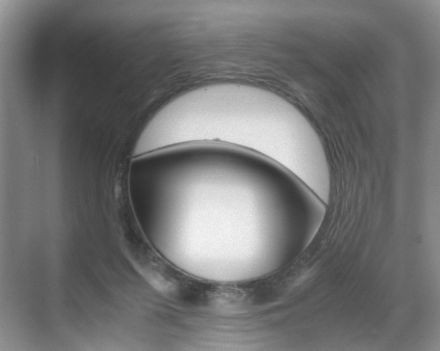 X0000071760215200606300924