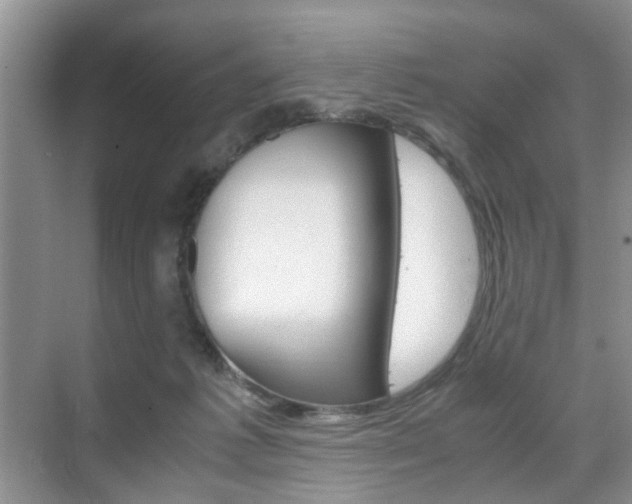 X0000071760221200606300924