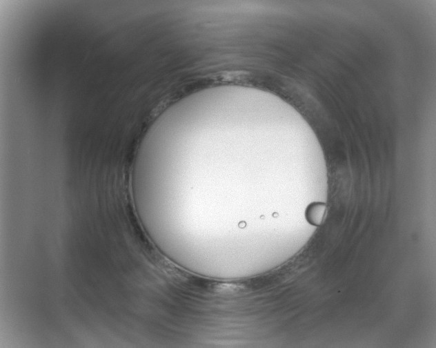 X0000071760222200606300924