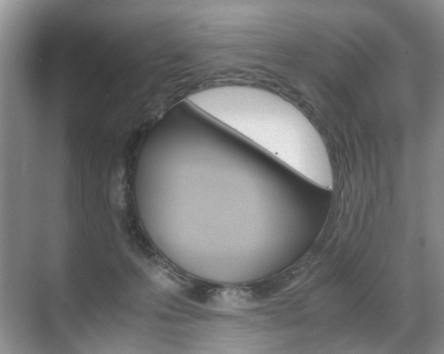 X0000071760223200606300924