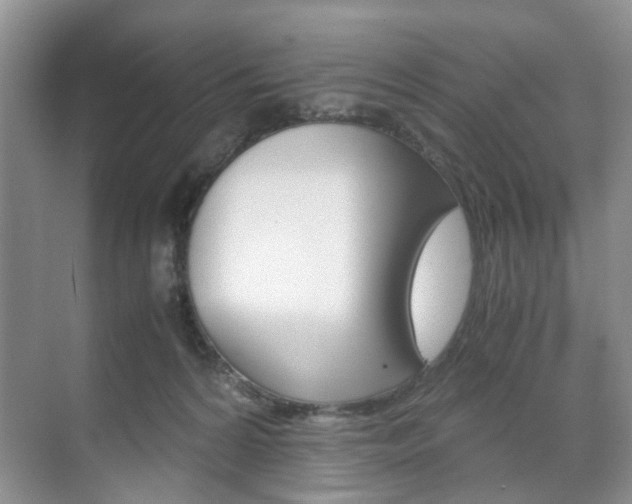 X0000071760224200606300924