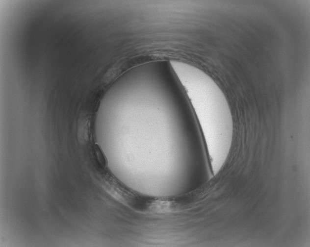 X0000071760227200606300924