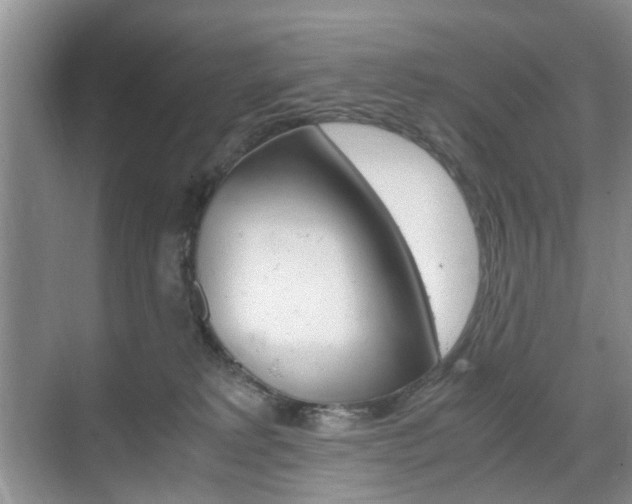 X0000071760229200606300924