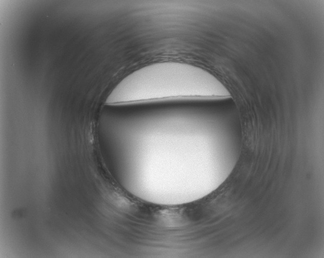 X0000071760232200606300924