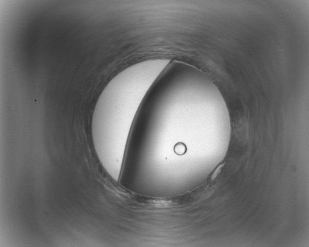 X0000071760233200606300924