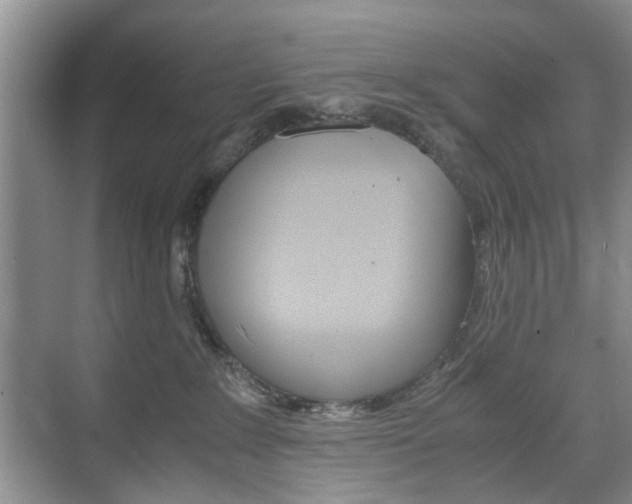 X0000071760235200606300924