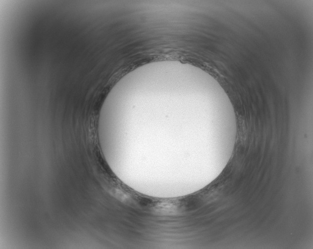 X0000071760236200606300924